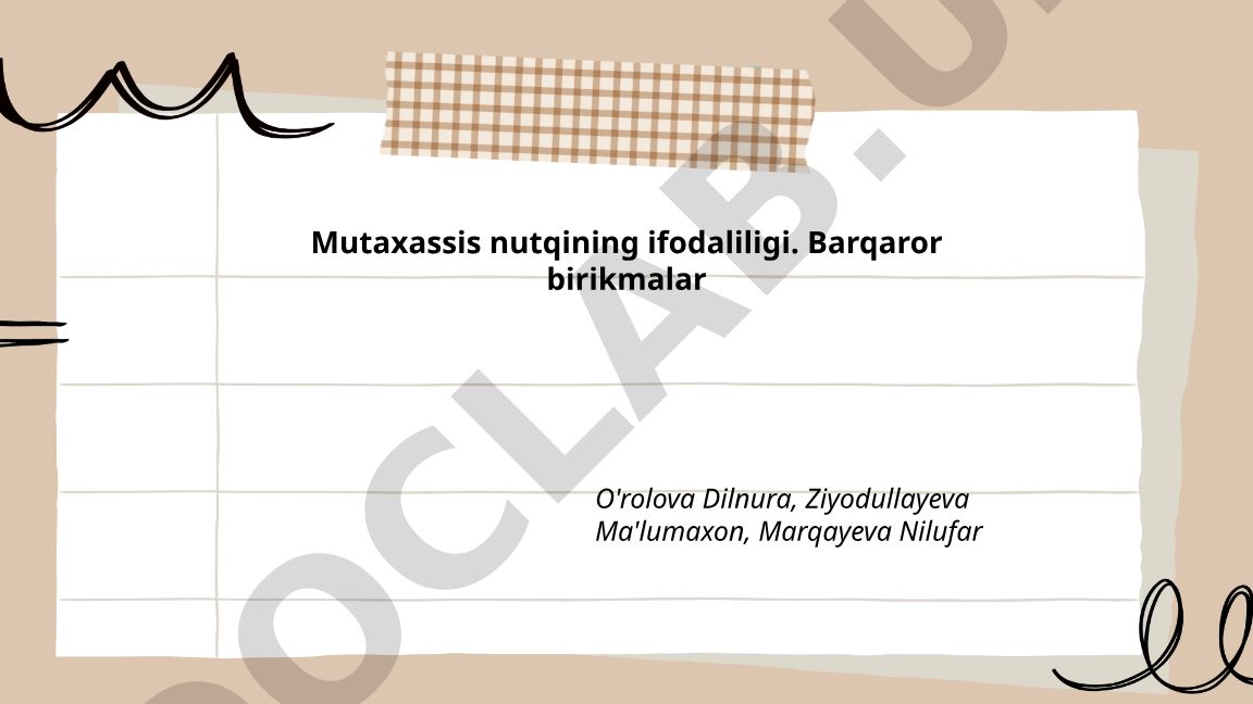 Mutaxassis nutqida barqaror birikmalar va ularning ifodaviy roli