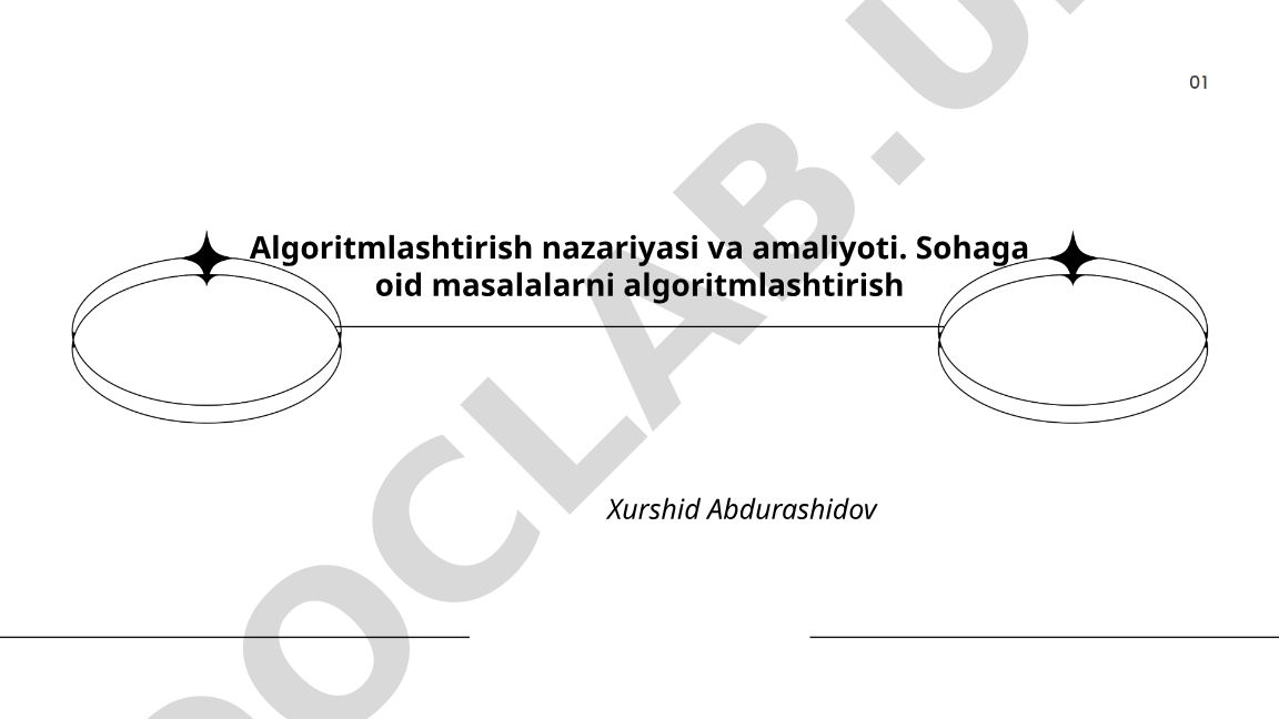 Algoritmlashtirish nazariyasi va amaliyoti