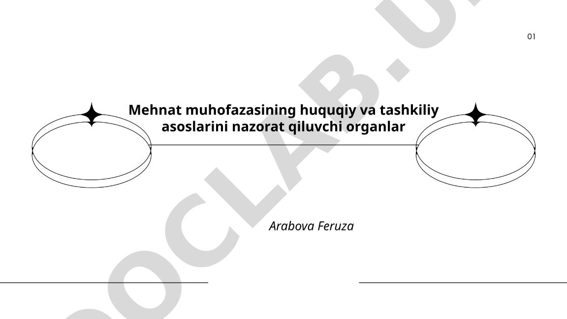 Mehnat muhofazasini nazorat qiluvchi organlarning huquqiy maqomi va vazifalari