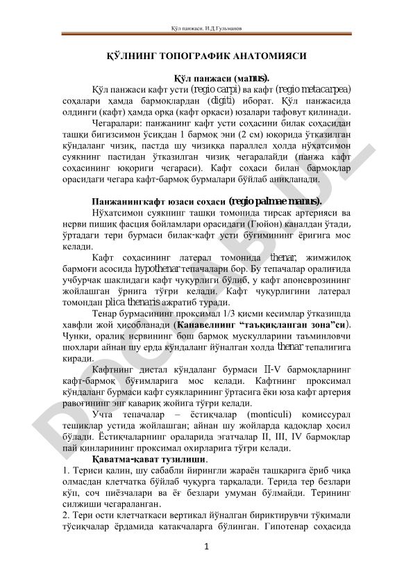 Qo'l panjasining topografik anatomiyasi
