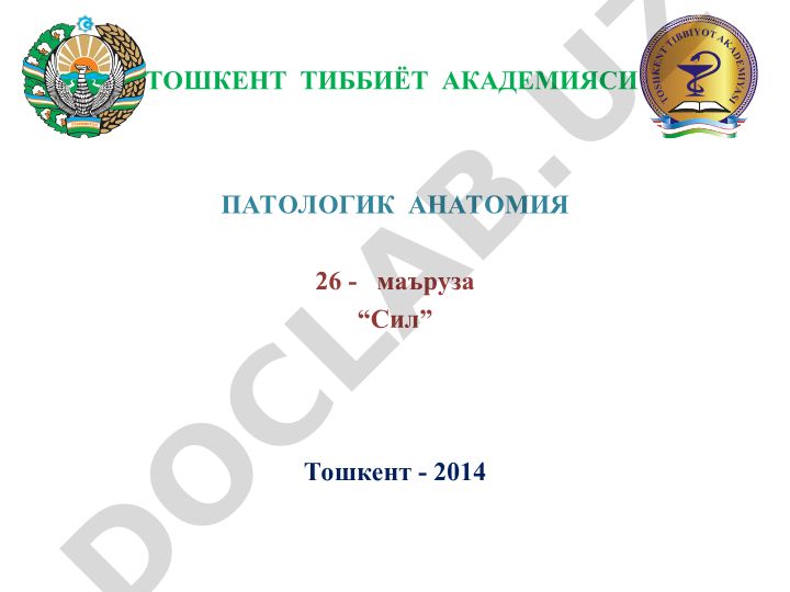 Сил (Туберкулез) - патогенез, клинико-морфологические формы и первичный туберкулез