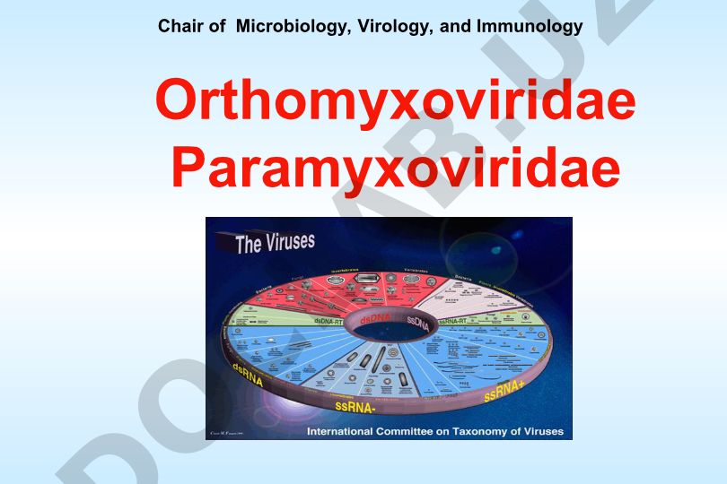 Orthomyxoviridae va Paramyxoviridae viruslari: Influenza virusi va uning xususiyatlari