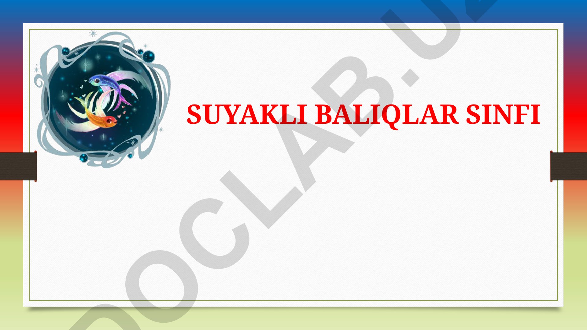 Suyakli baliqlar sinfi va turkumlari