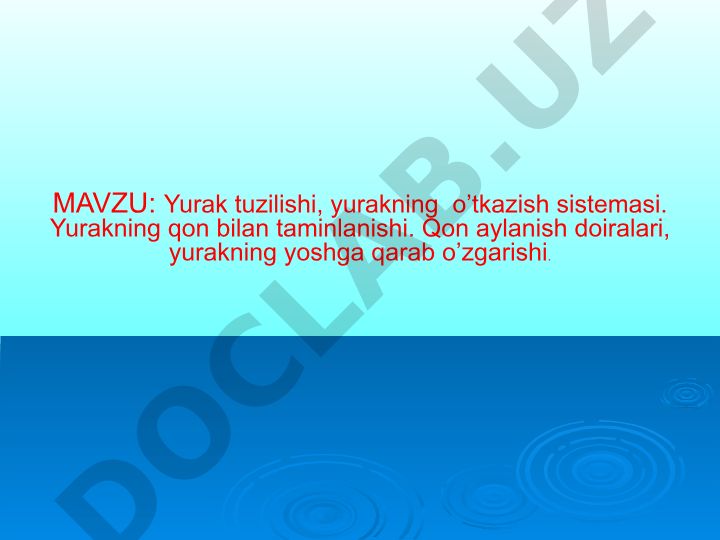 Yurak tuzilishi, o'tkazish sistemasi, qon aylanish doiralari va tug'ma yurak nuqsonlari