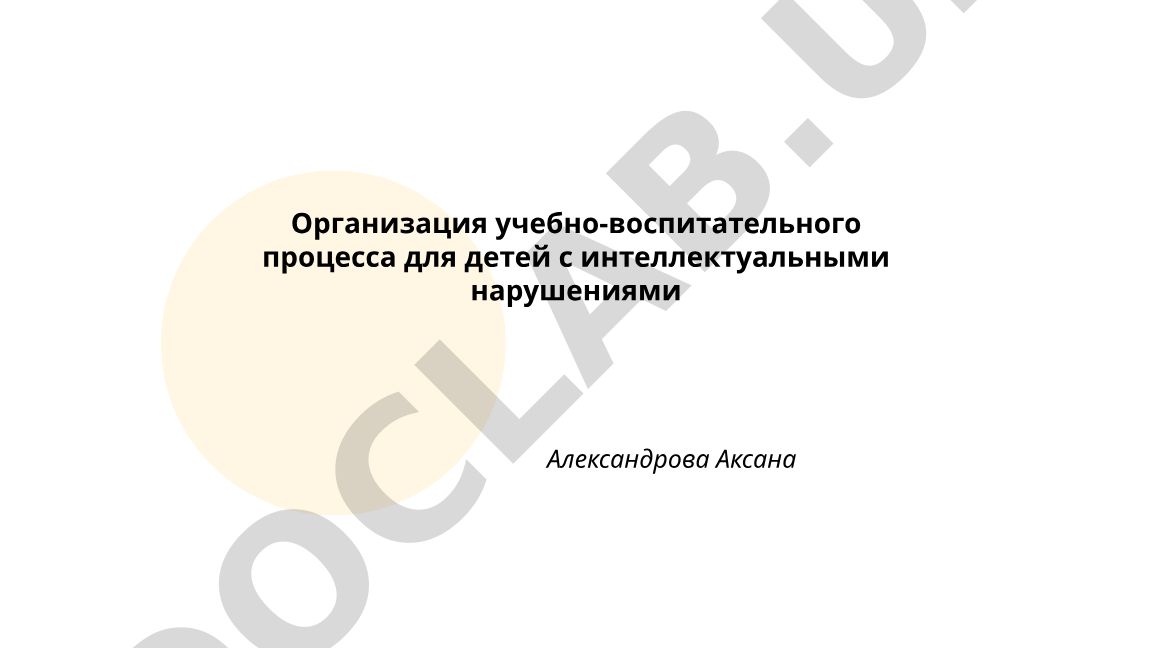 Организация учебно-воспитательного процесса для детей с интеллектуальными нарушениями