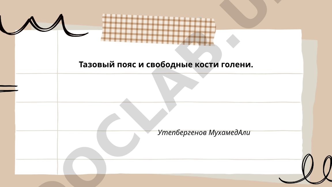 Тазовый пояс и свободные кости голени: анатомическое строение