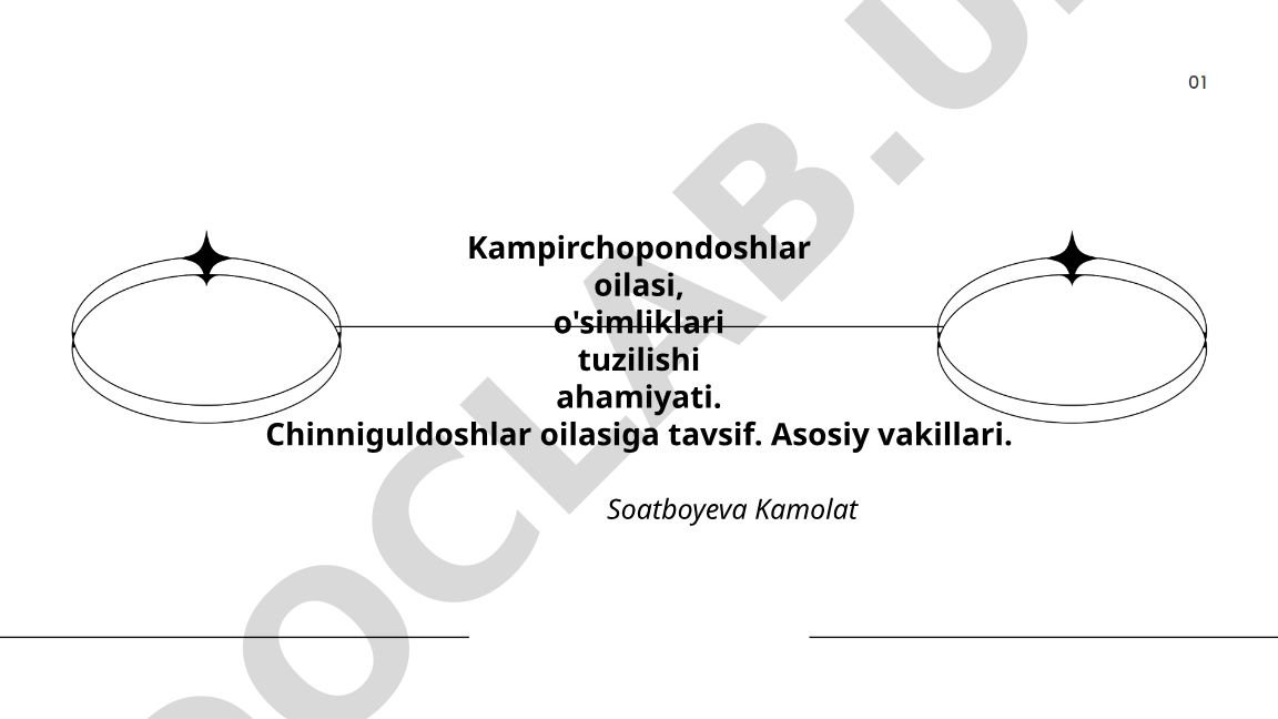Kampirchopondoshlar oilasi va Chinniguldoshlar oilasi tavsifi