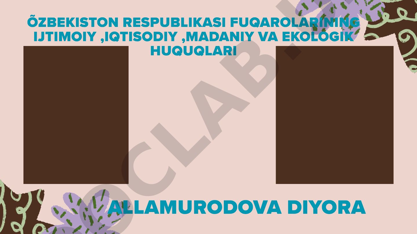 O'zbekiston fuqarolarining ijtimoiy, iqtisodiy, madaniy va ekologik huquqlari