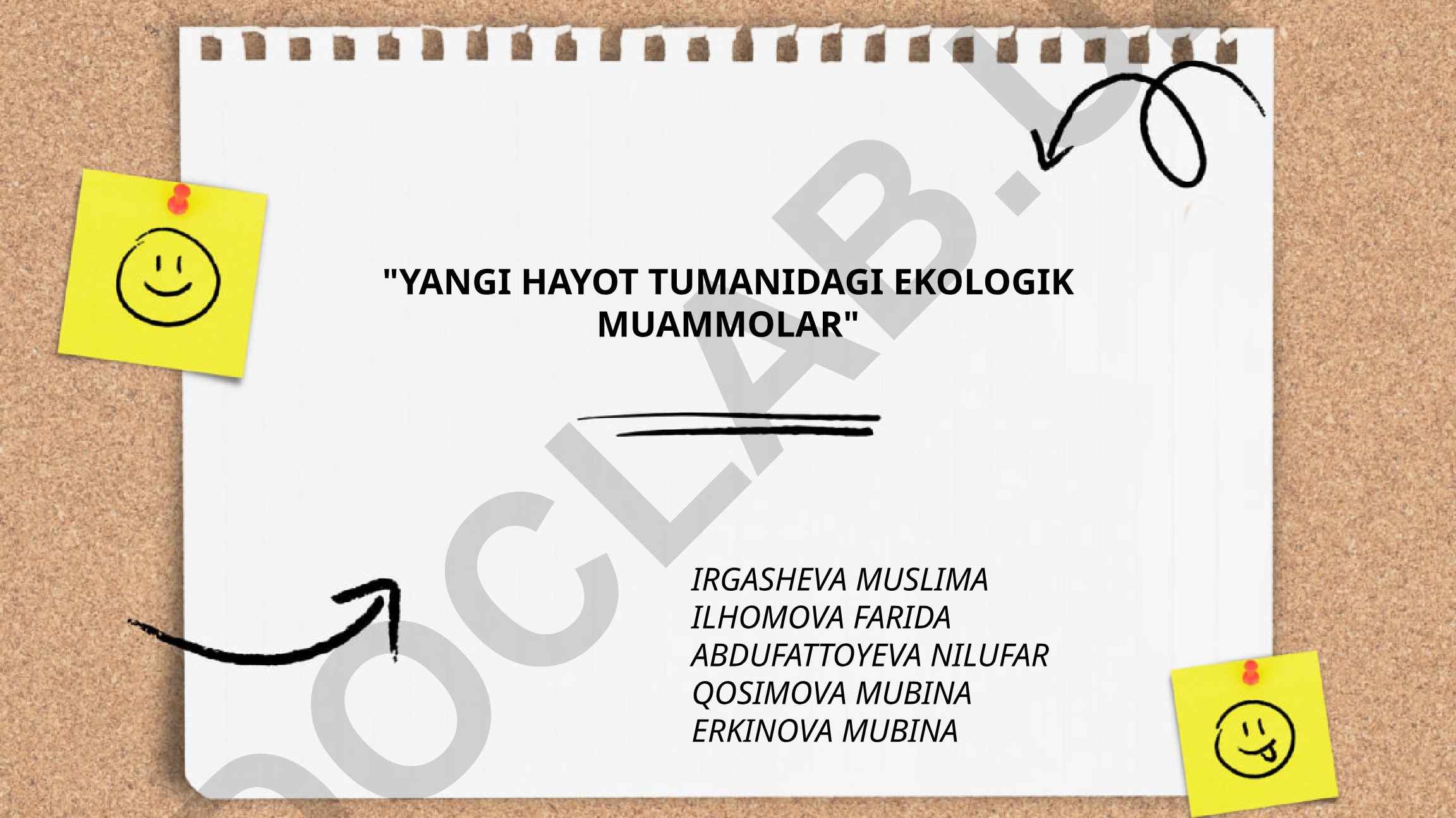 Yangi Hayot tumanidagi ekologik muammolar