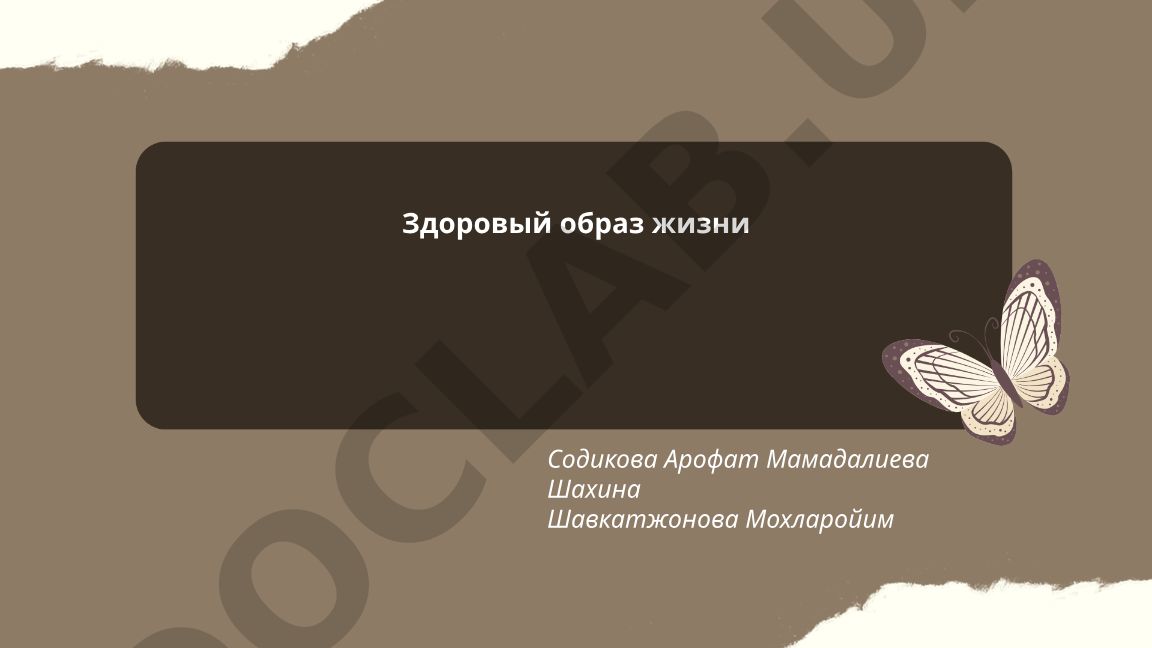 Здоровый образ жизни: правильное питание, физическая активность и режим сна