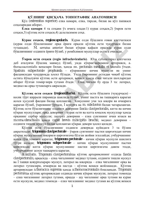 Қўлнинг қисқача топографик анатомияси