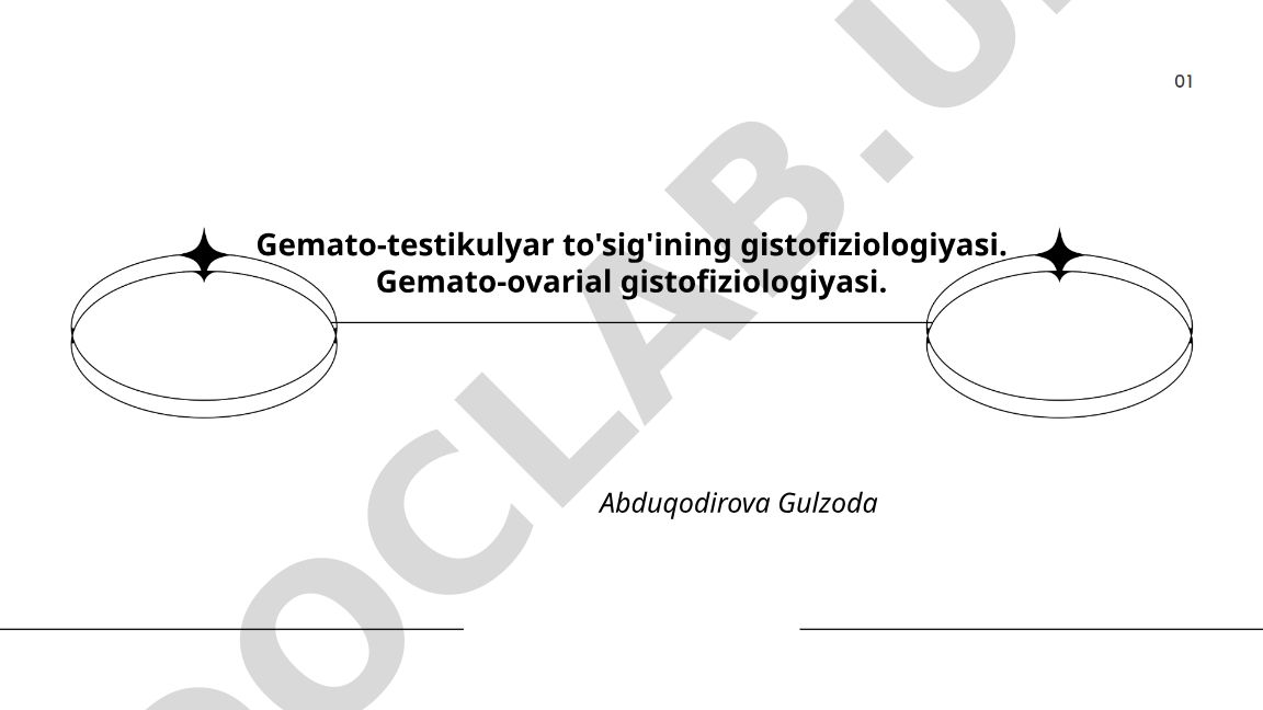 Gemato-testikulyar to'siqning gistofiziologiyasi