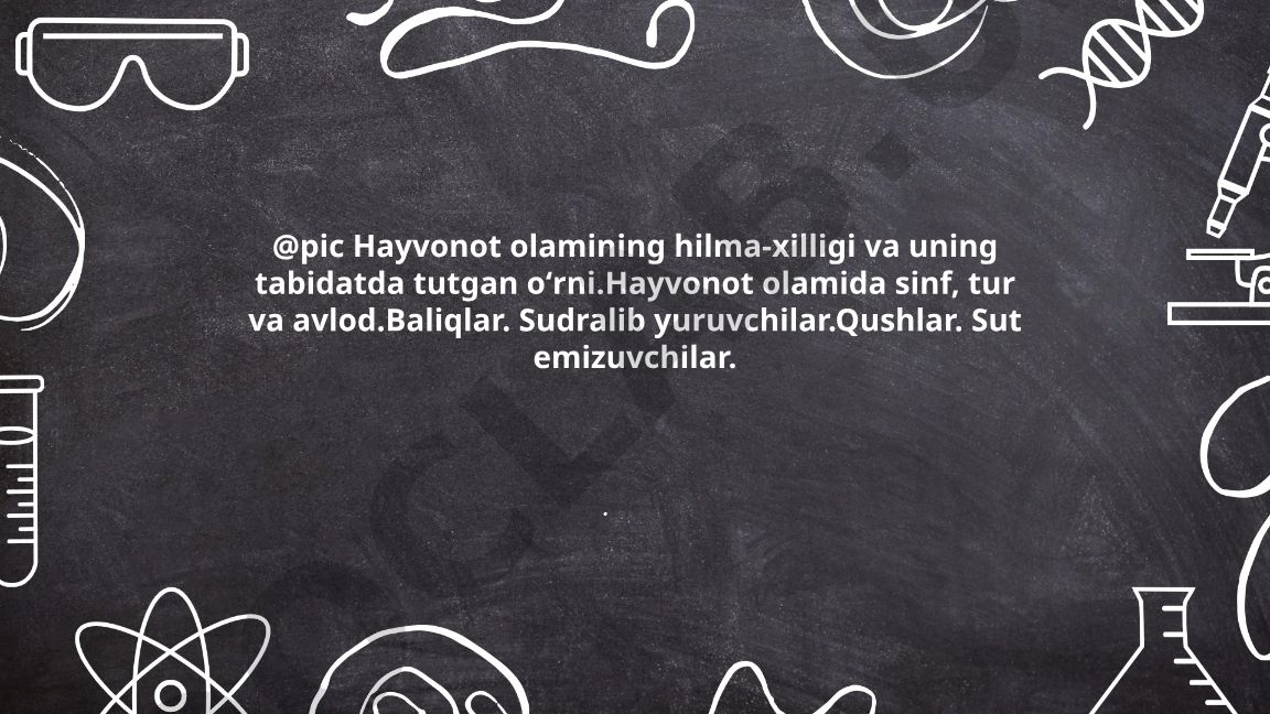 Hayvonot olamining xilma-xilligi va taksonomik birliklar