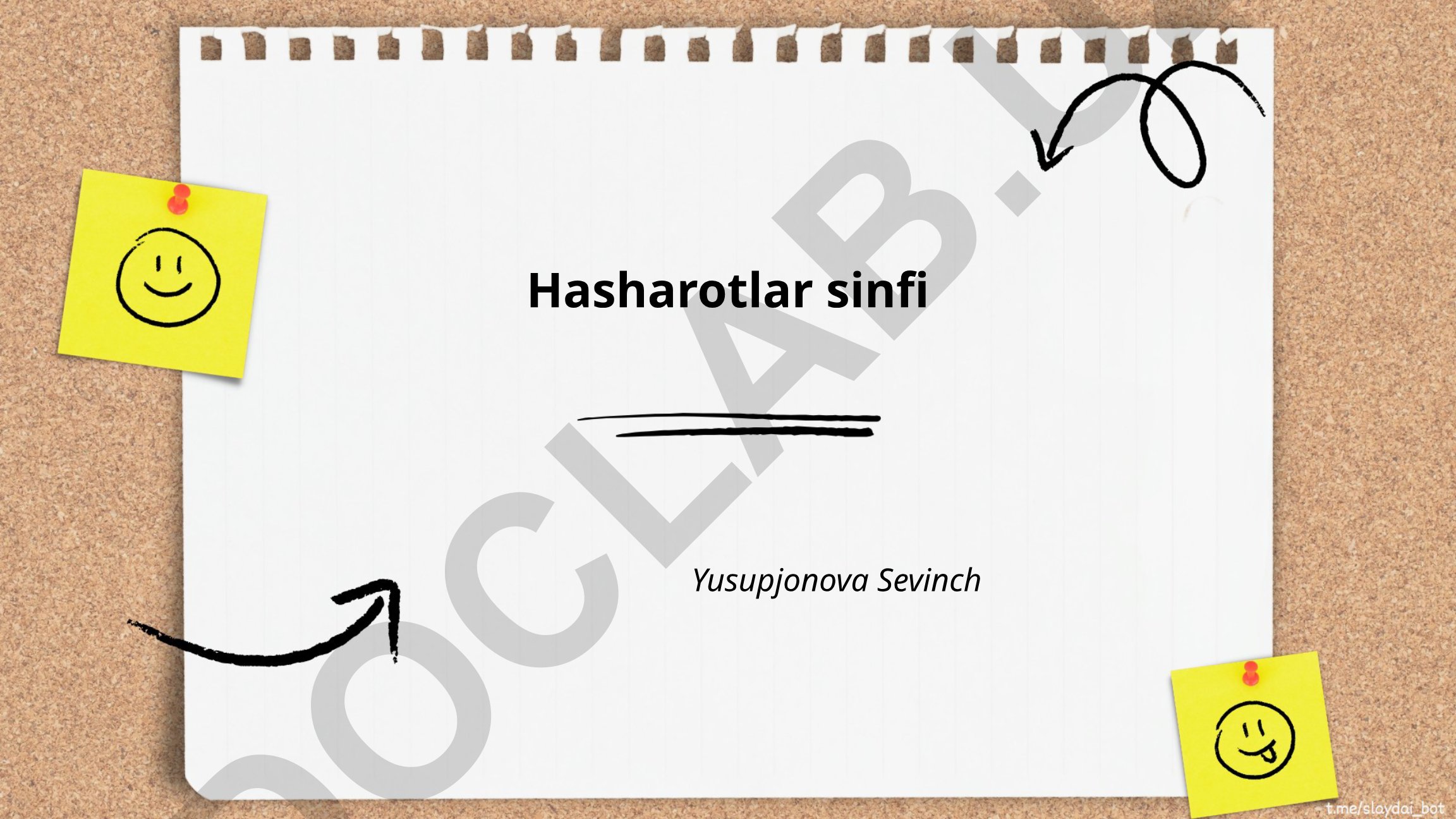 Hasharotlar sinfi va ularning biologiyasi