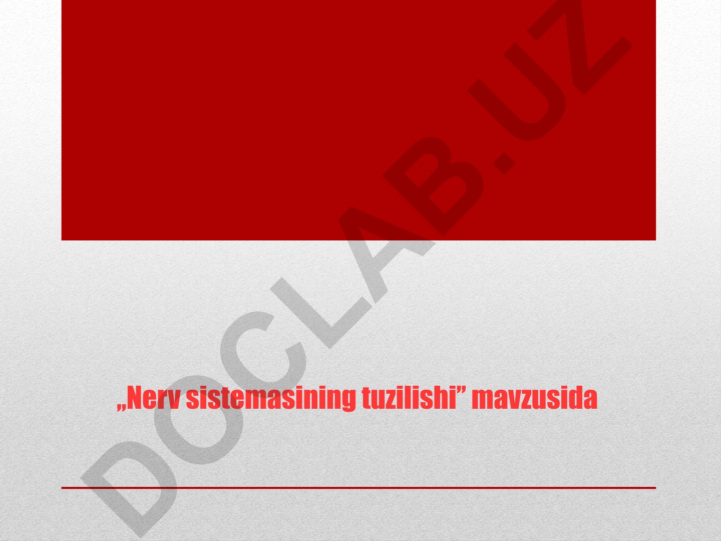 Nerv sistemasining tuzilishi