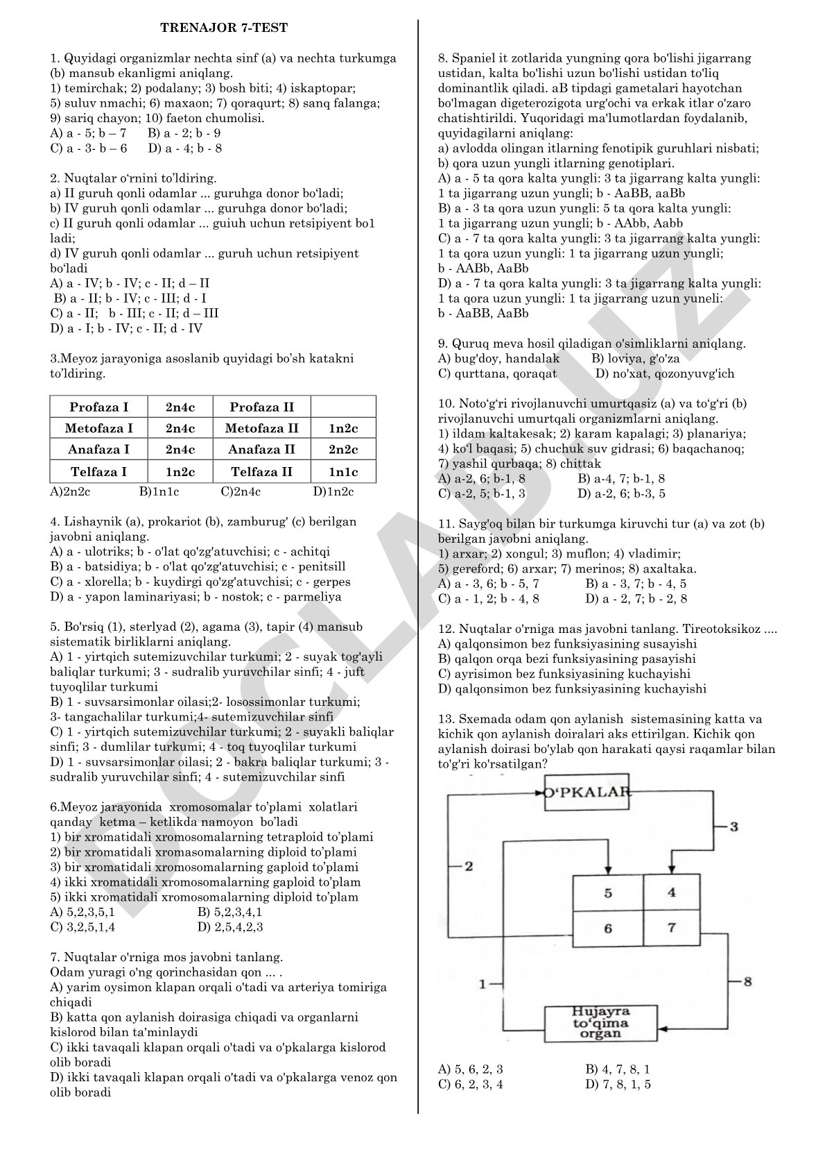 Biologiya 7-test: organizmlar, qon guruhlari, meyoz