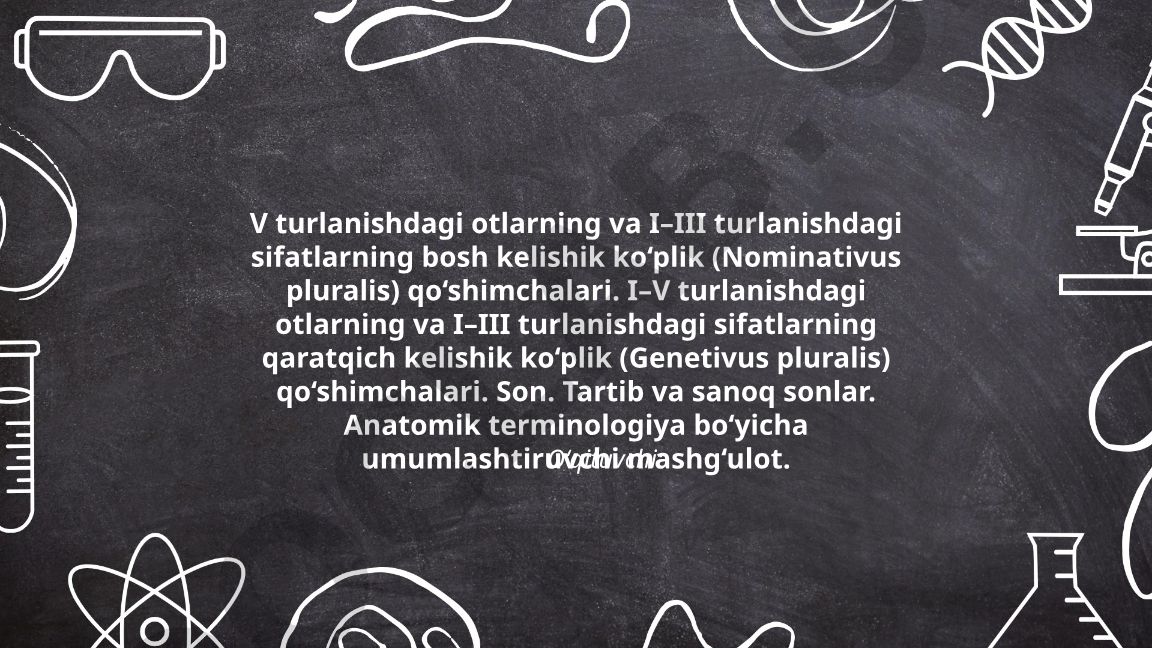 Lotin tilida ot va sifat turlanishlari