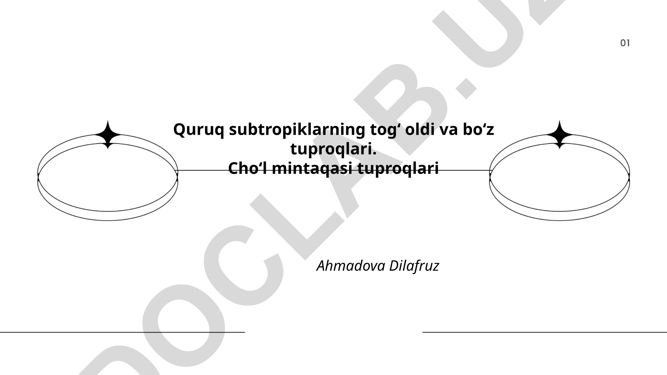 Quruq subtropiklarning togʻ oldi va boʻz tuproqlari