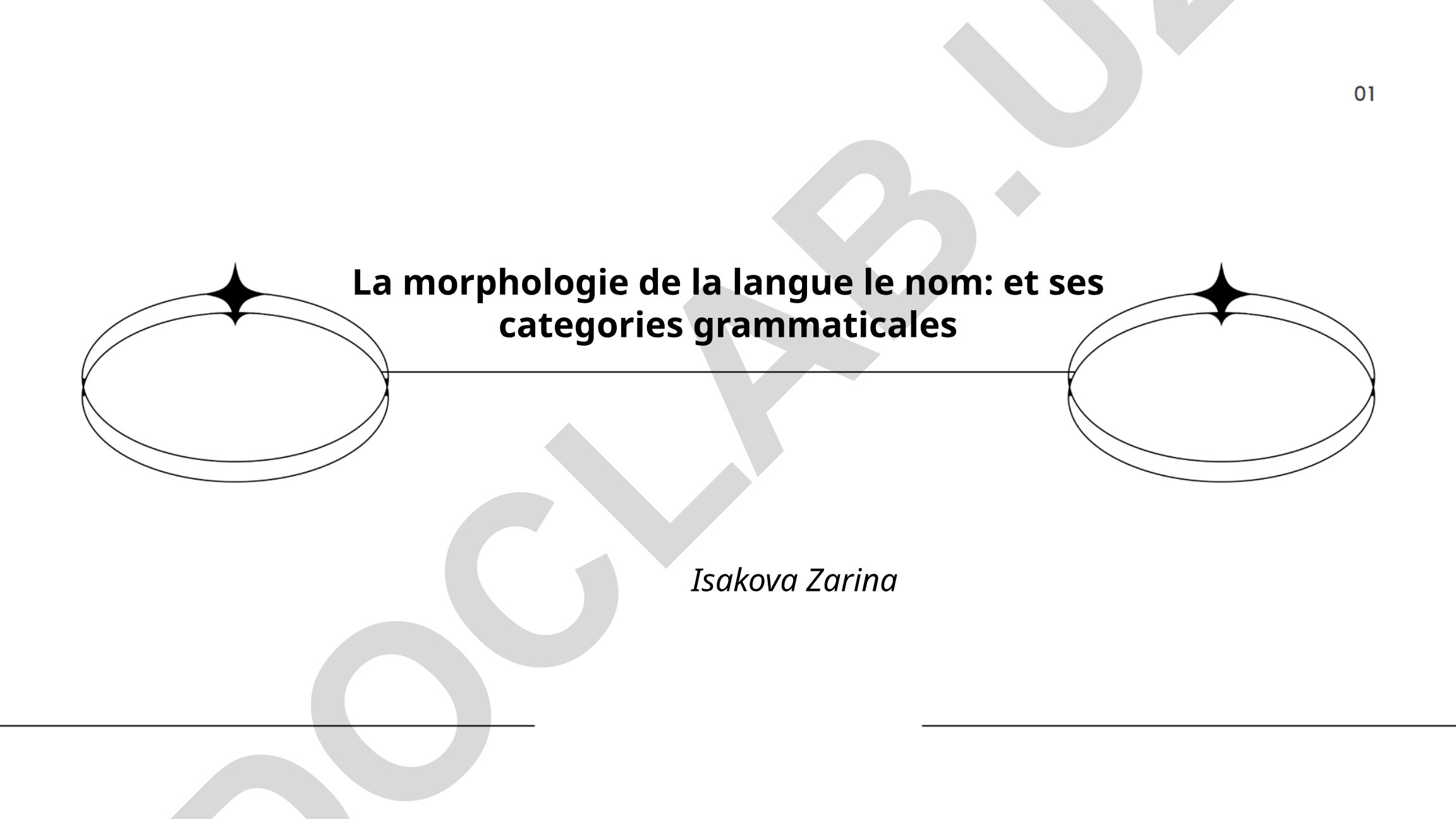 La morphologie de la langue le nom: et ses categories grammaticales