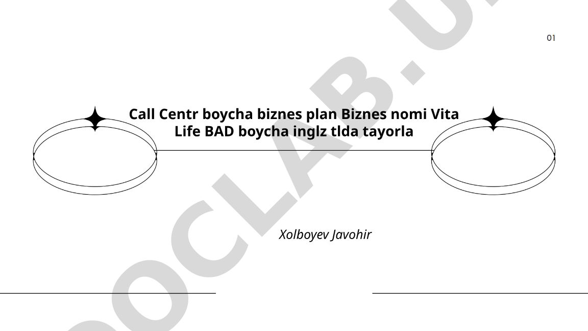 Vita Life BAD Call Center Business Plan