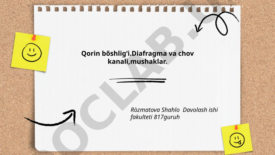 Qorin bo'shlig'i, diafragma va chov kanali mushaklarining anatomiyasi