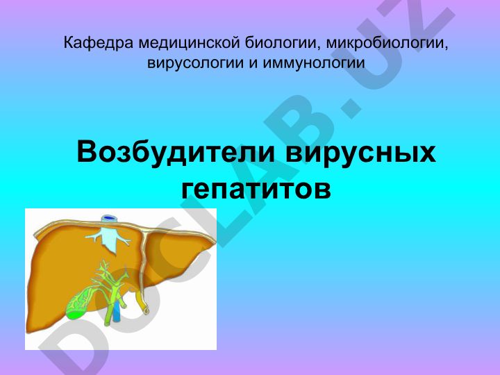 Возбудители вирусных гепатитов