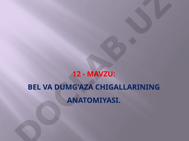 Bel va dumg'aza chigallarining anatomiyasi