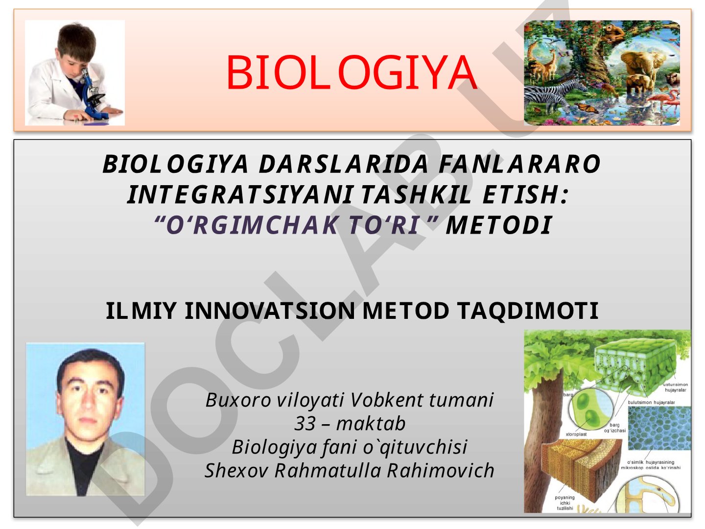 Biologiya darslarida fanlararo integratsiyani tashkil etish: “O‘rgimchak to‘ri” metodi