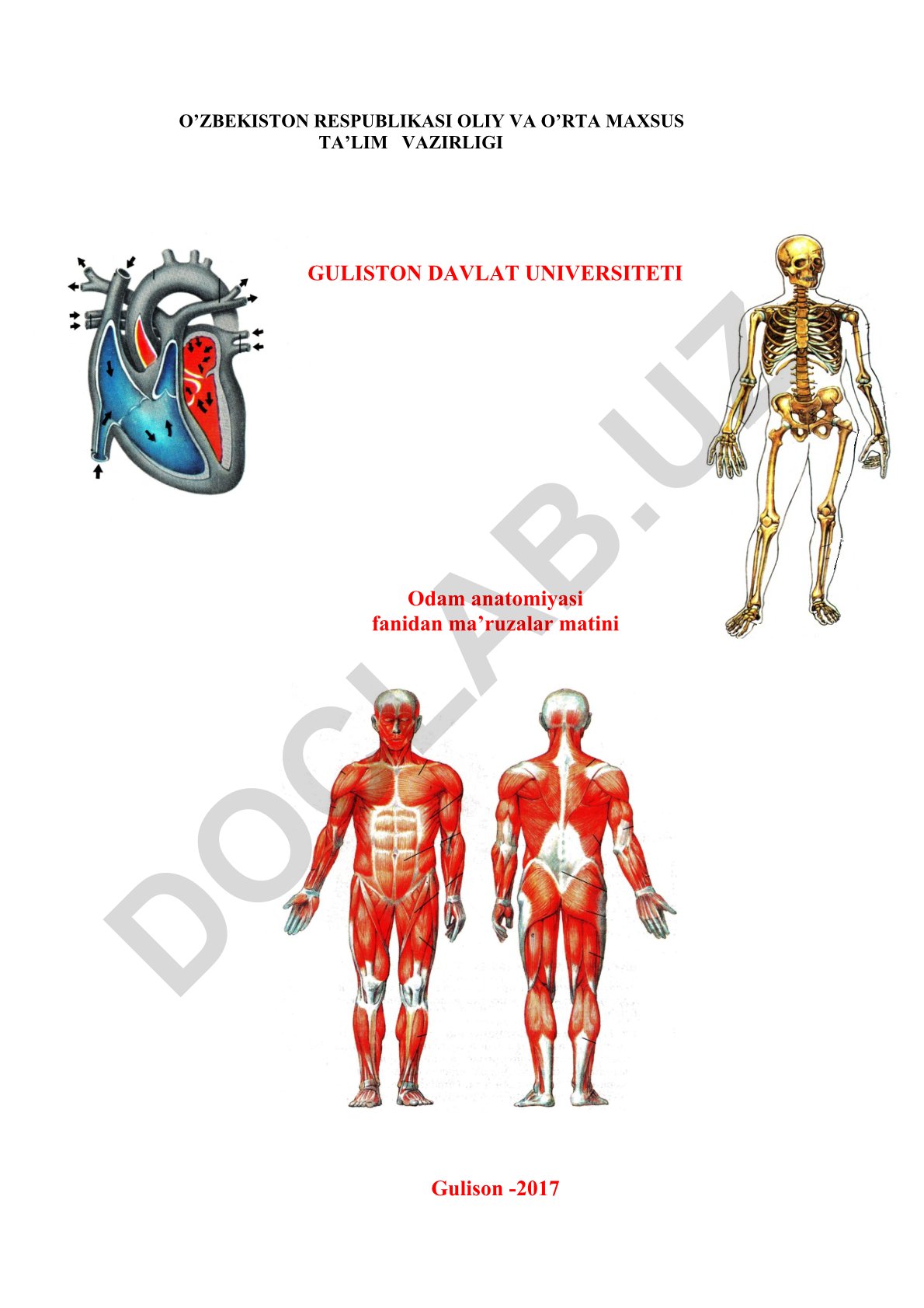 Anatomiya fanining maqsadi va vazifalari. Bosh skeleti va kalla suyaklari