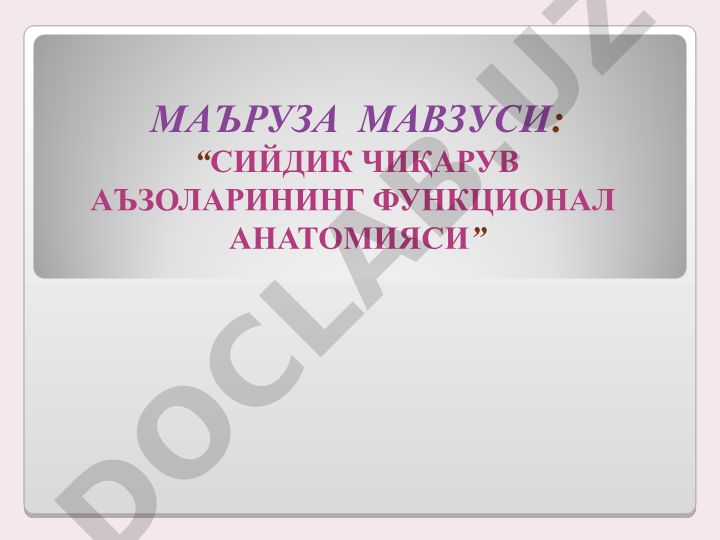 СИЙДИК ЧИҚАРУВ АЪЗОЛАРИНИНГ ФУНКЦИОНАЛ АНАТОМИЯСИ