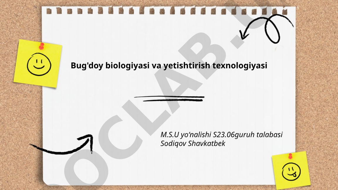 Bug'doy biologiyasi va yetishtirish texnologiyasi