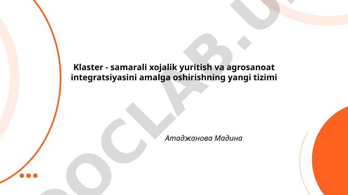 Klaster - samarali xojalik yuritish va agrosanoat integratsiyasini amalga oshirishning yangi tizimi