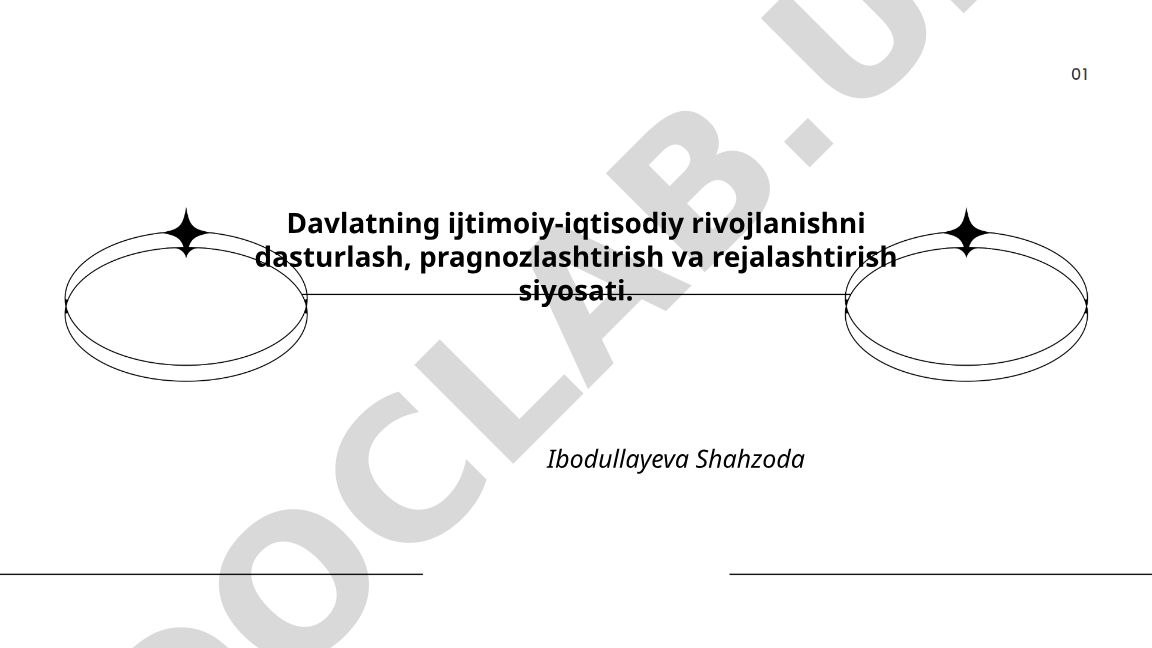 Davlatning ijtimoiy-iqtisodiy rivojlanishni dasturlash, prognozlashtirish va rejalashtirish siyosati