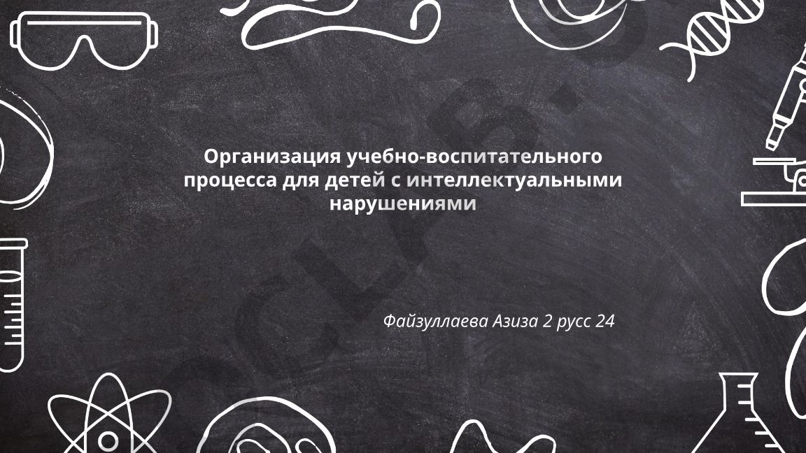 Организация учебно-воспитательного процесса для детей с интеллектуальными нарушениями