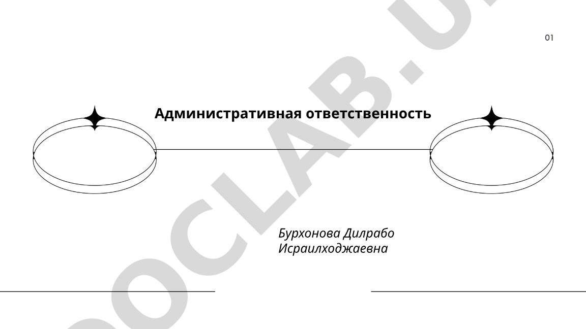 Административная ответственность: понятие, принципы и субъекты