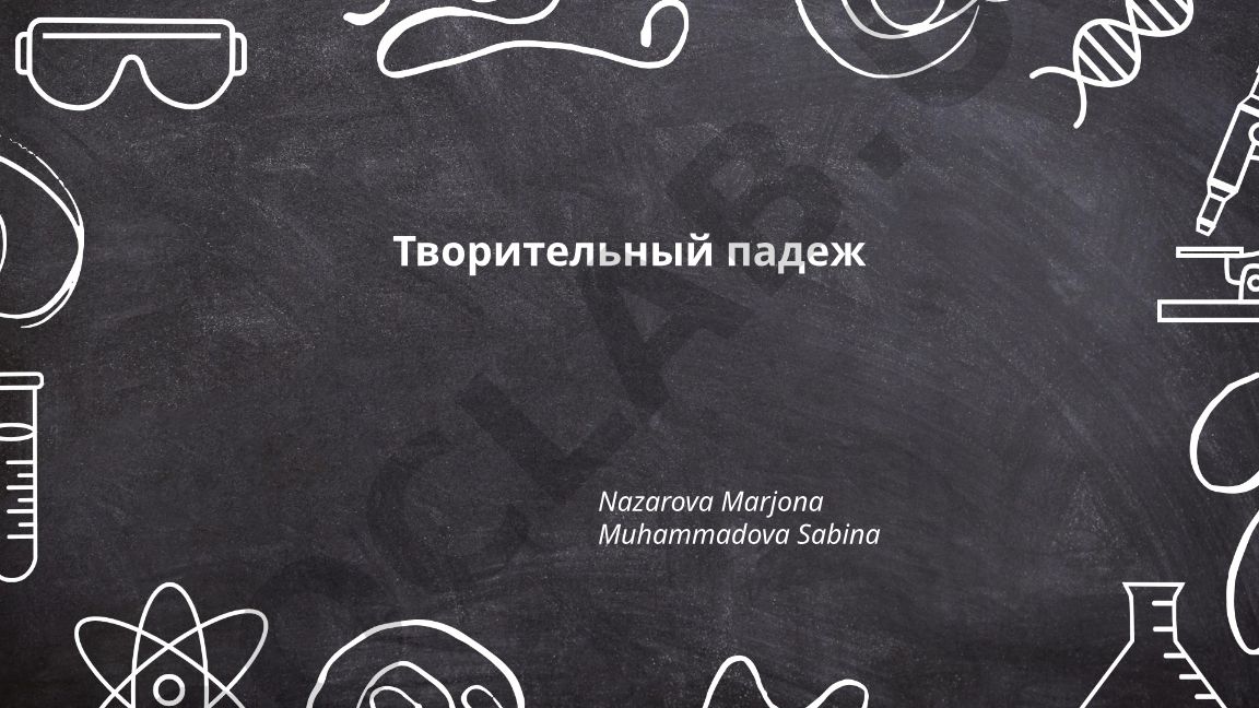 Творительный падеж в русском языке