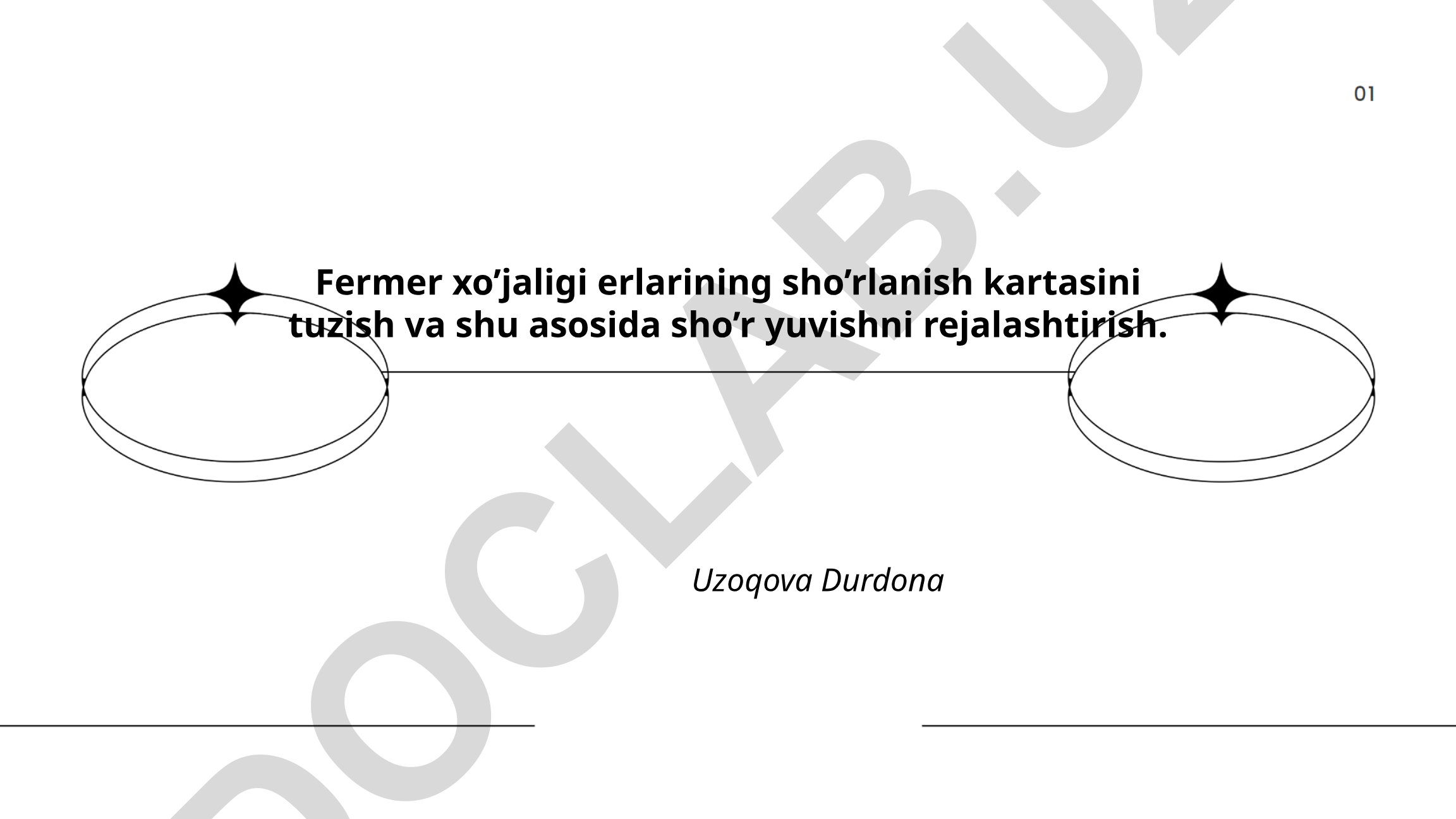Fermer xo'jaligi erlarining sho'rlanish kartasini tuzish va sho'r yuvishni rejalashtirish