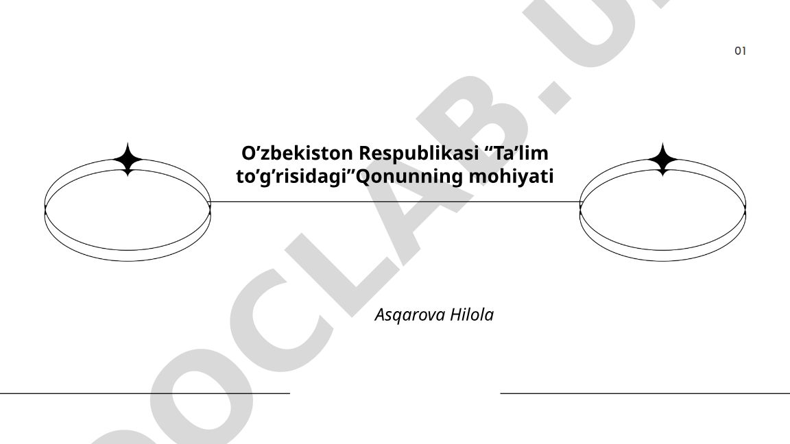 O'zbekiston Respublikasi Ta'lim to'g'risidagi Qonunning mohiyati