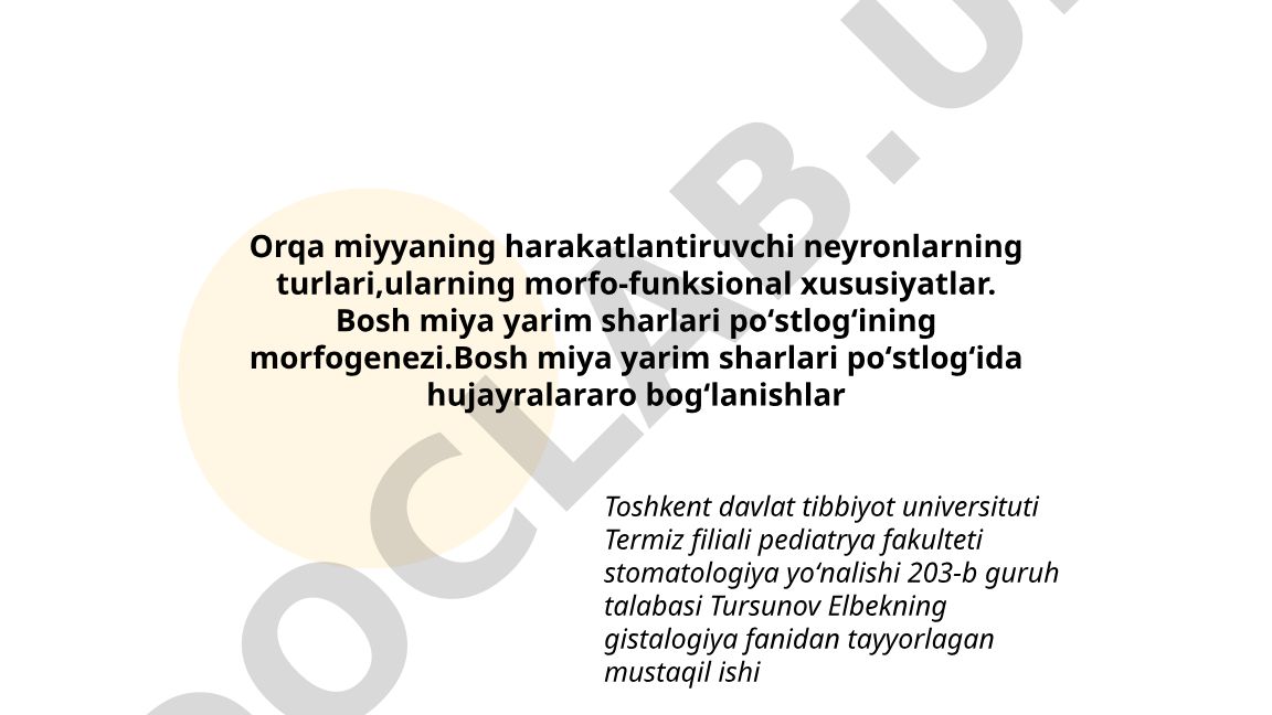 Orqa miyyaning harakatlantiruvchi neyronlari va bosh miya po'stlog'i morfogenezi