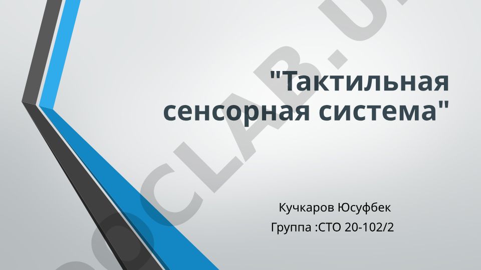 Тактильная сенсорная система
