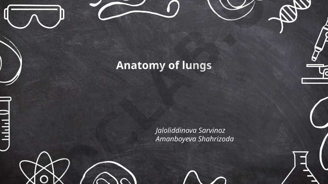 Anatomy of lungs