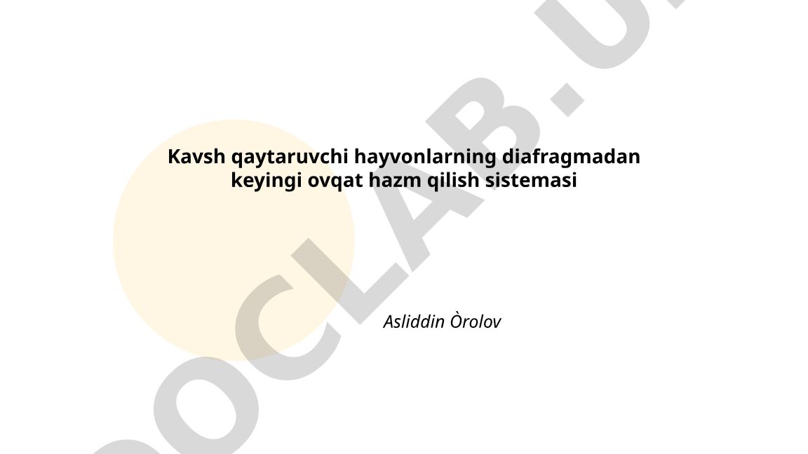 Kavsh qaytaruvchi hayvonlarning diafragmadan keyingi ovqat hazm qilish sistemasi