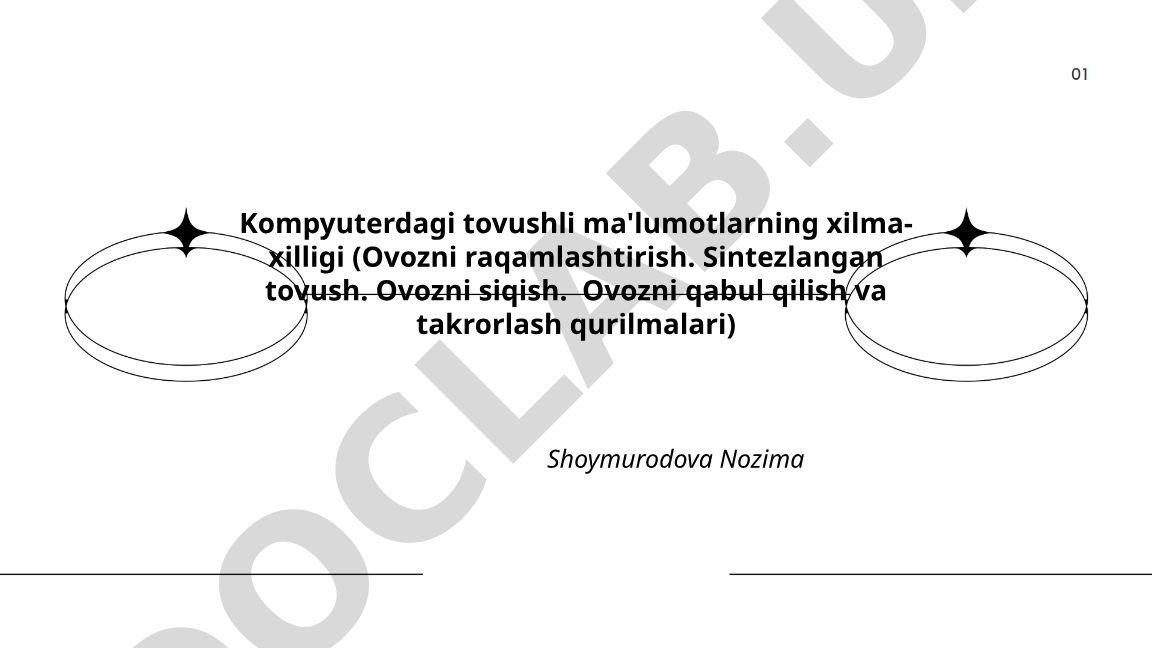 Kompyuterdagi tovushli ma'lumotlarning xilma-xilligi