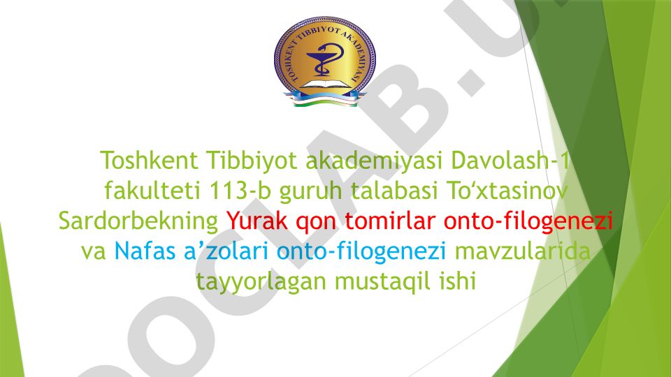 Yurak qon tomirlar onto-filogenezi va Nafas a'zolari onto-filogenezi