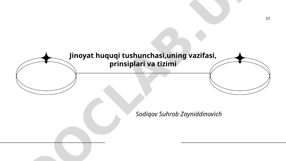 Jinoyat huquqi tushunchasi, vazifasi, prinsiplari va tizimi
