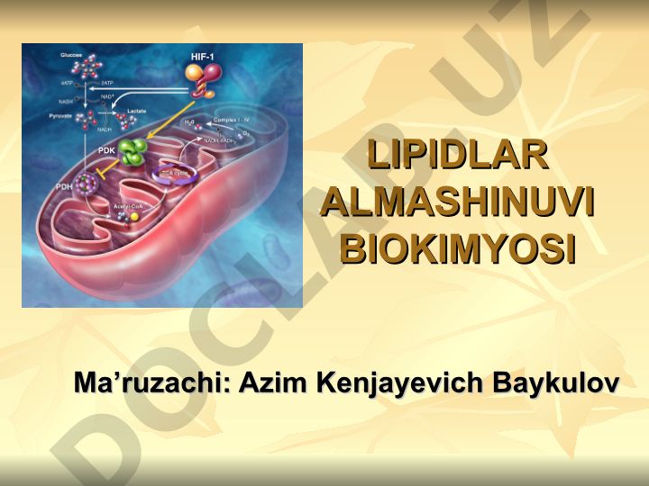 Lipidlar almashinuvi biokimyosi