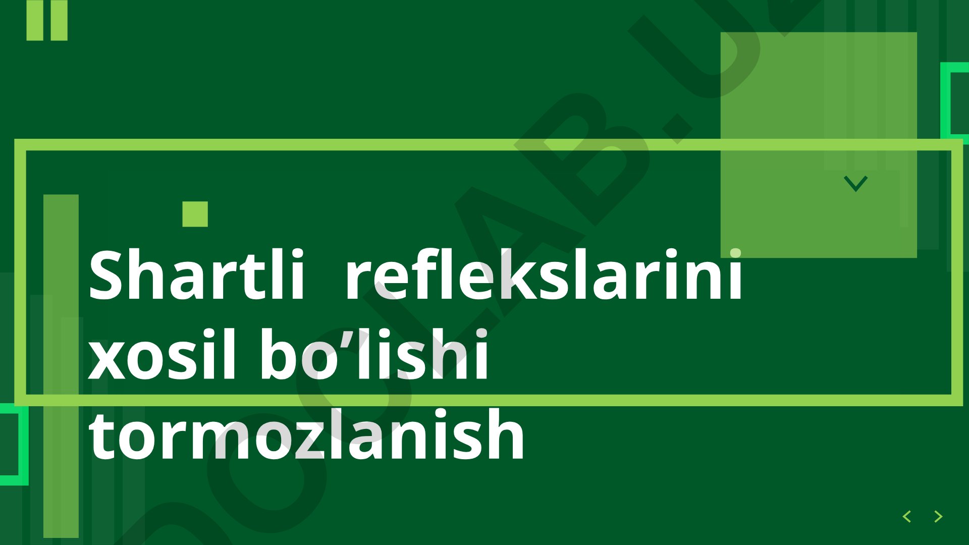 Shartli reflekslar va oliy nerv faoliyati
