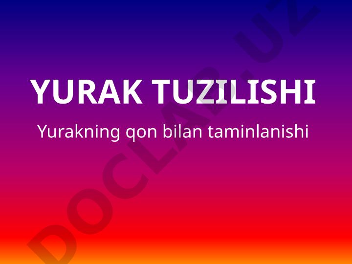 Yurak tuzilishi va qon bilan taminlanishi