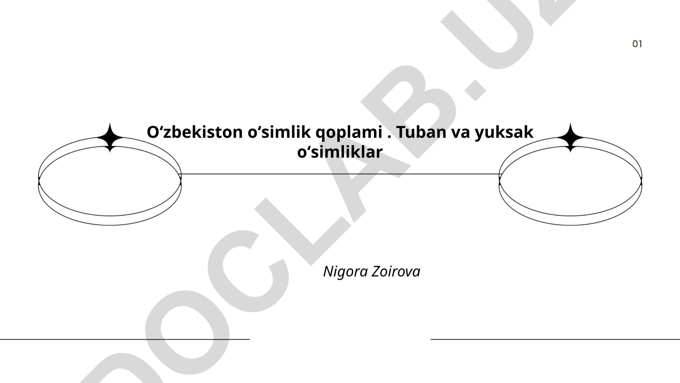 O'zbekistonning floristik rayonlashuvi va o'simlik qoplami