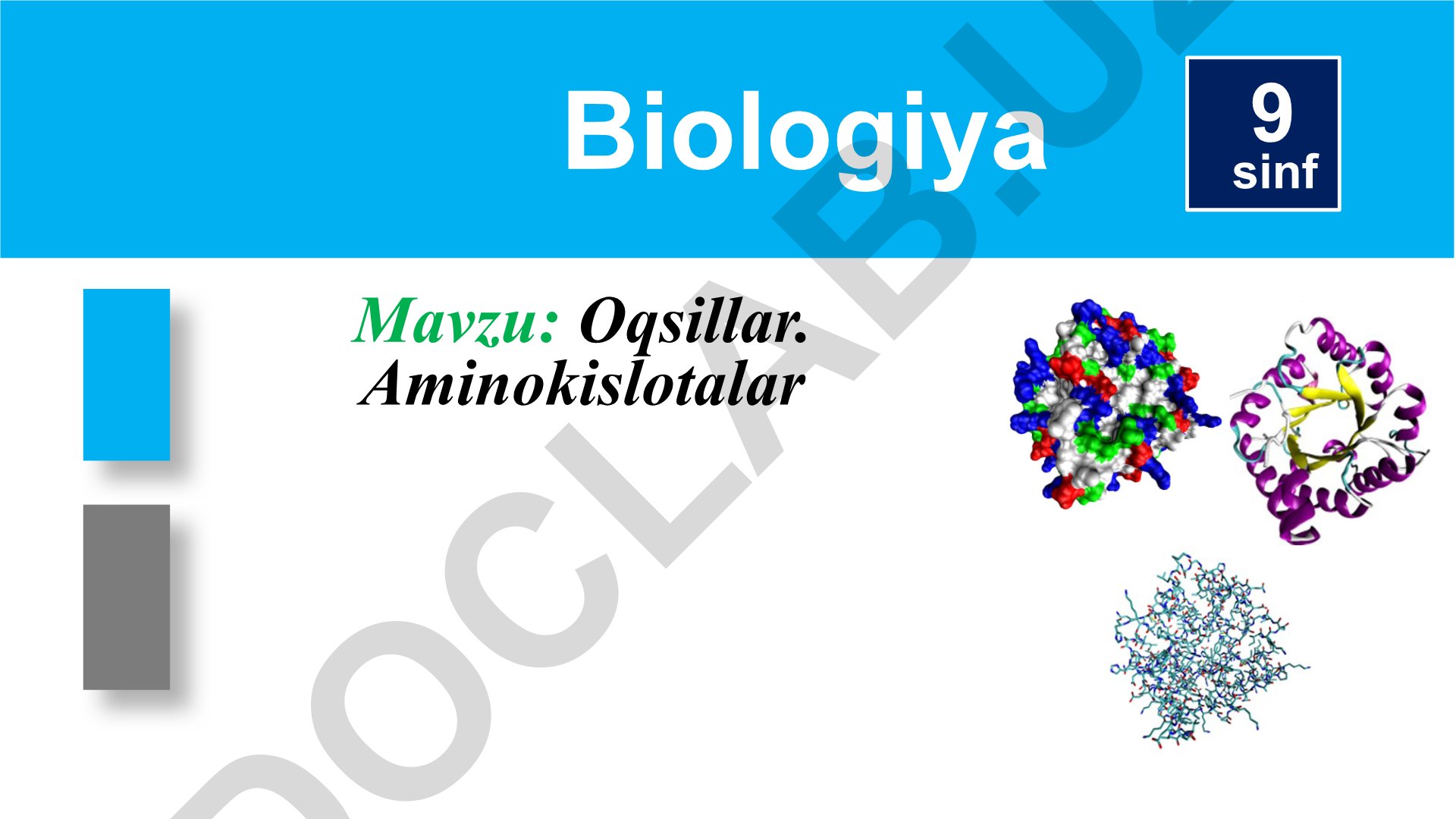 Oqsillar va aminokislotalar